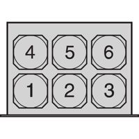 SCHROFF Boîtier d'unité de ventilation 19", 1 U pour 6 ventilateurs, 38 mm