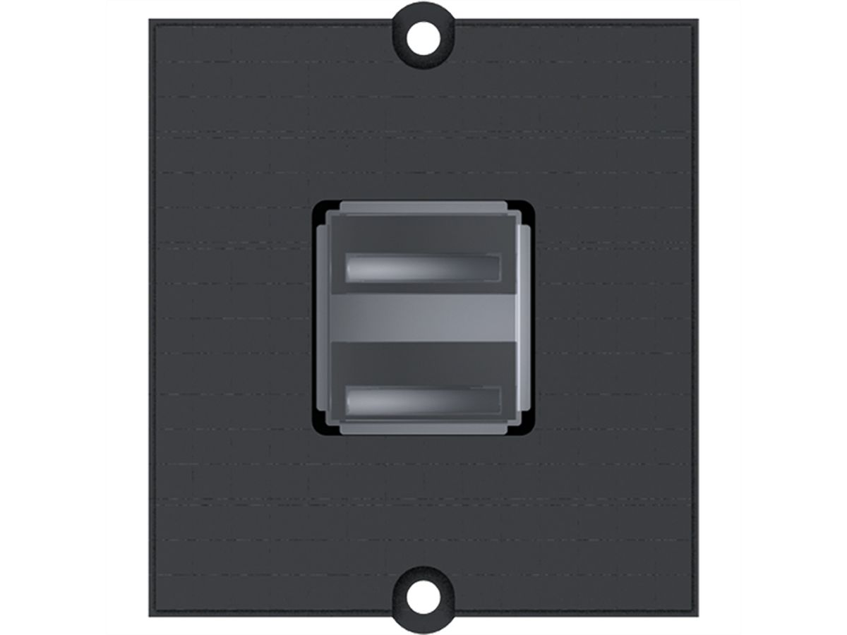 BACHMANN cadre 2xUSB A borne à vis