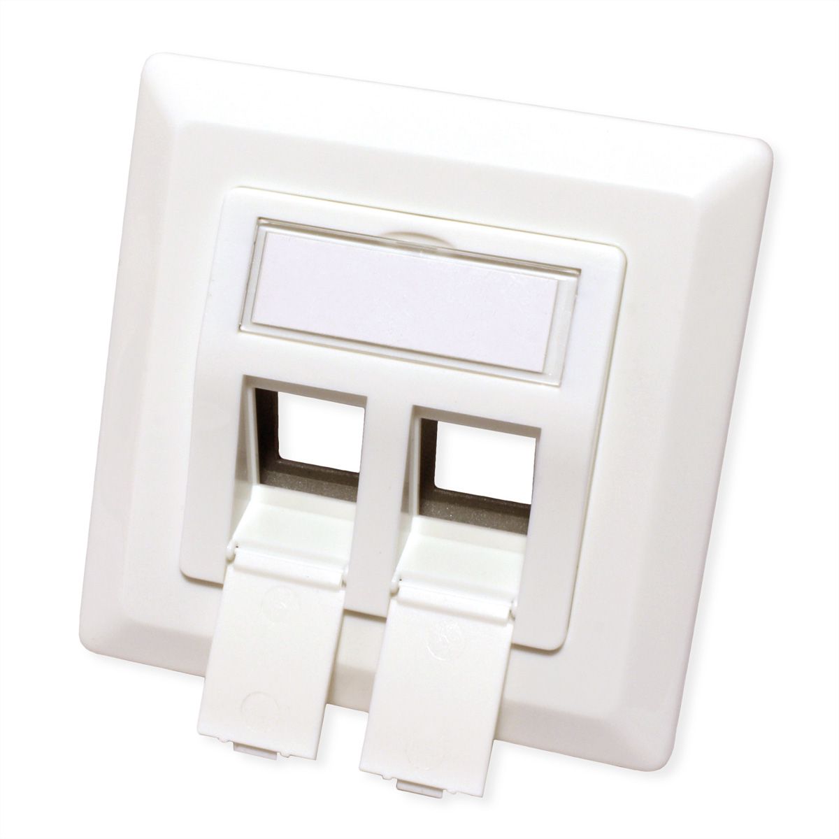 ROLINE Module pour Keystones, x2