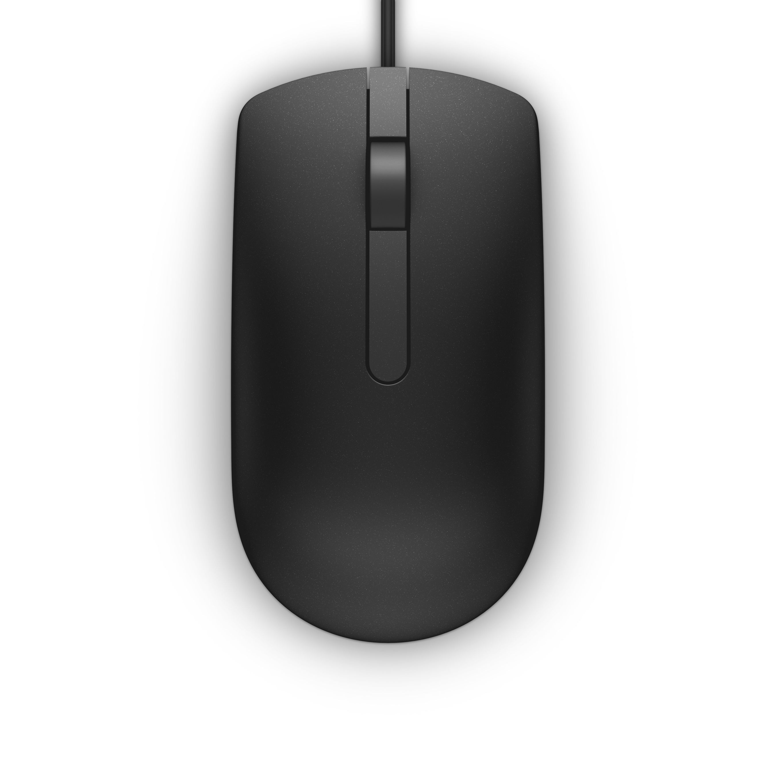 DELL MS116 souris Ambidextre USB Type-A Optique 1000 DPI