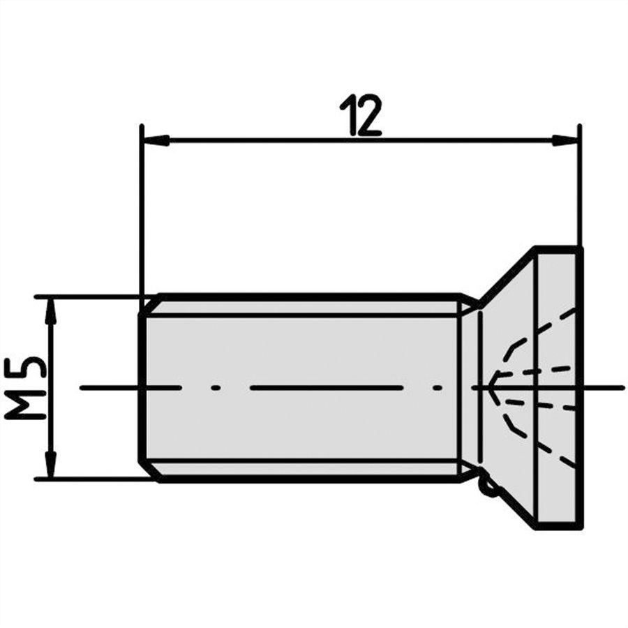 SCHROFF Vis pour fixation de module et de profilé - NTS SENKSCHR.M5X12 10STK