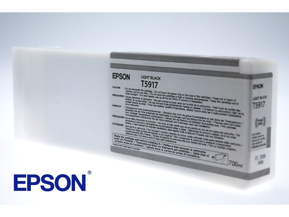 Epson Encre Pigment Gris Clair SP 11880 (700ml)