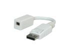 ROLINE Adaptateur DisplayPort, DP M-Mini DP F