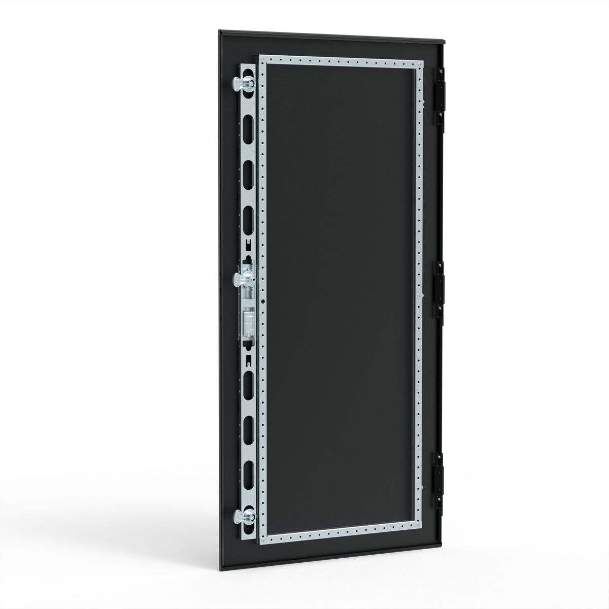 SCHROFF Porte 1200H 600L EMC