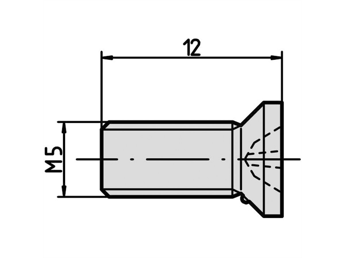 SCHROFF Vis pour fixation de module et de profilé - NTS SENKSCHR.M5X12 10STK