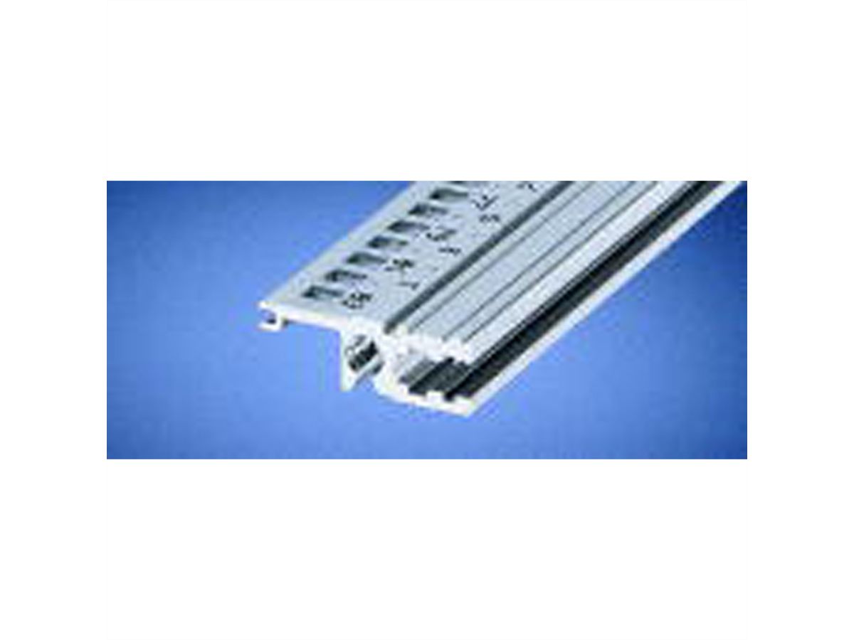 Rail horizontal SCHROFF, arrière, Type L-VT, Light, 1000 mm