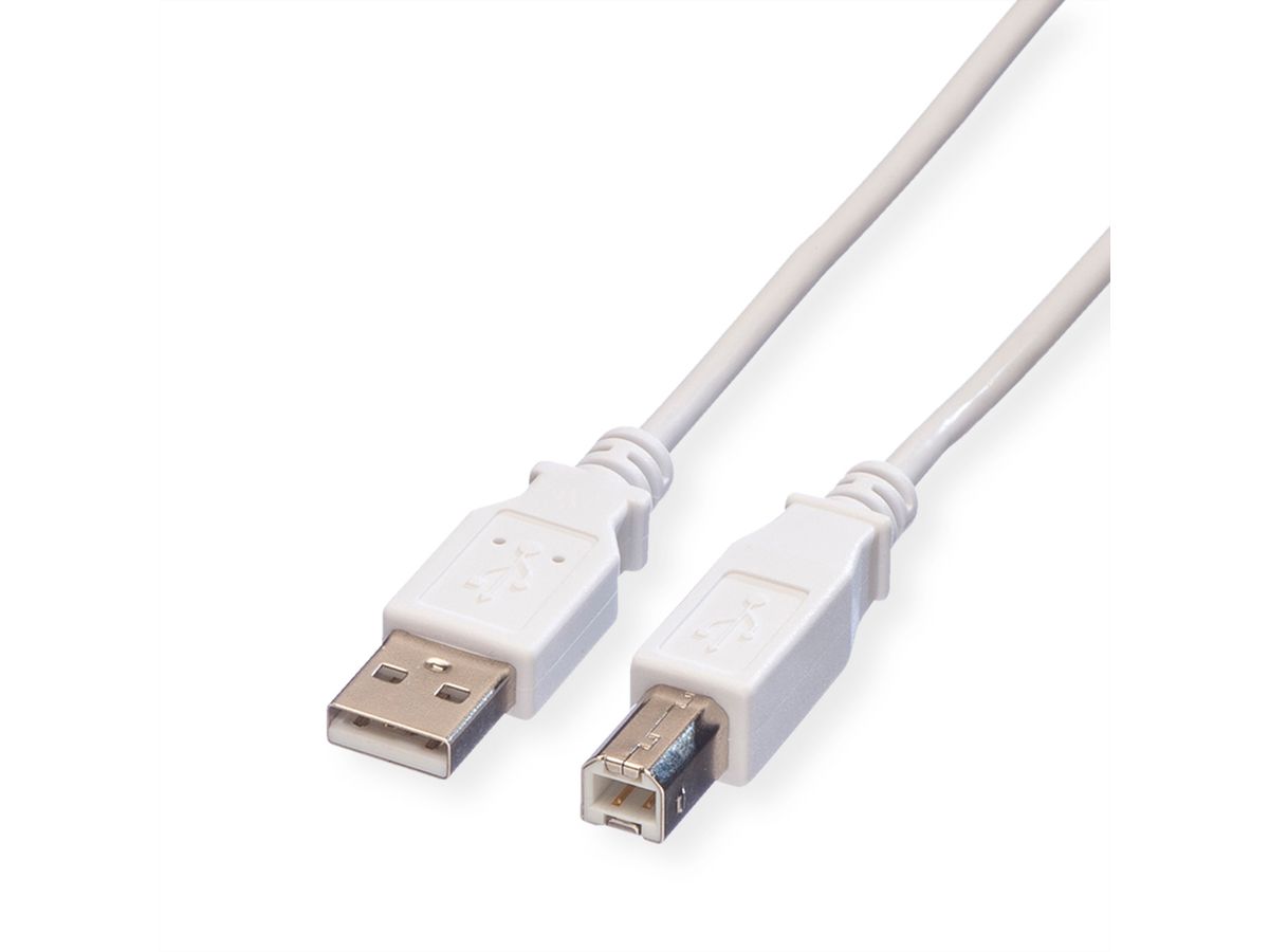VALUE Câble USB 2.0 Type A-B, blanc, 3 m