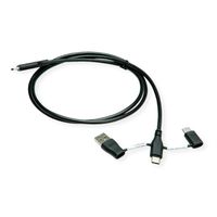 ROLINE Câble USB 2.0 type C, M/M, avec protecteur de données USB, type A+c, 1 m