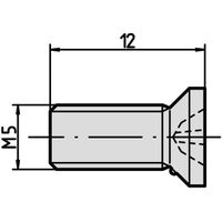 SCHROFF Vis pour fixation de module et de profilé - NTS SENKSCHR.M5X12 10STK