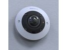 Mobotix Move Indoor Caméra Fisheye 12 MP, 180°/360°, IR-LED à 10m