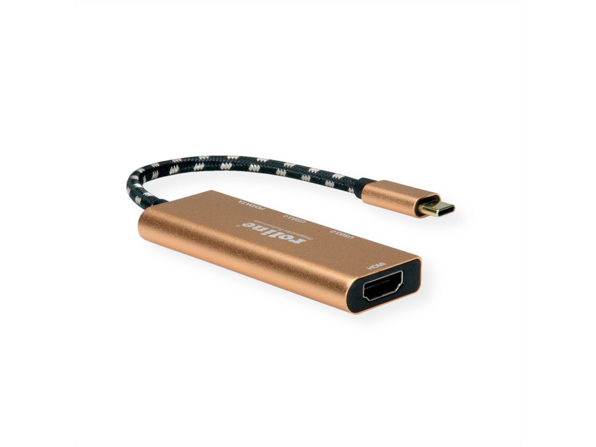 ROLINE GOLD Station d'accueil USB type C, 4K HDMI, 2 ports USB 3.2 Gen 1, 1x USB type C PD (Power Delivery)