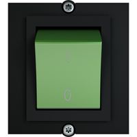 BACHMANN Cadre 1xinterr. 2 pôles vert, 1,0m fils ouverts