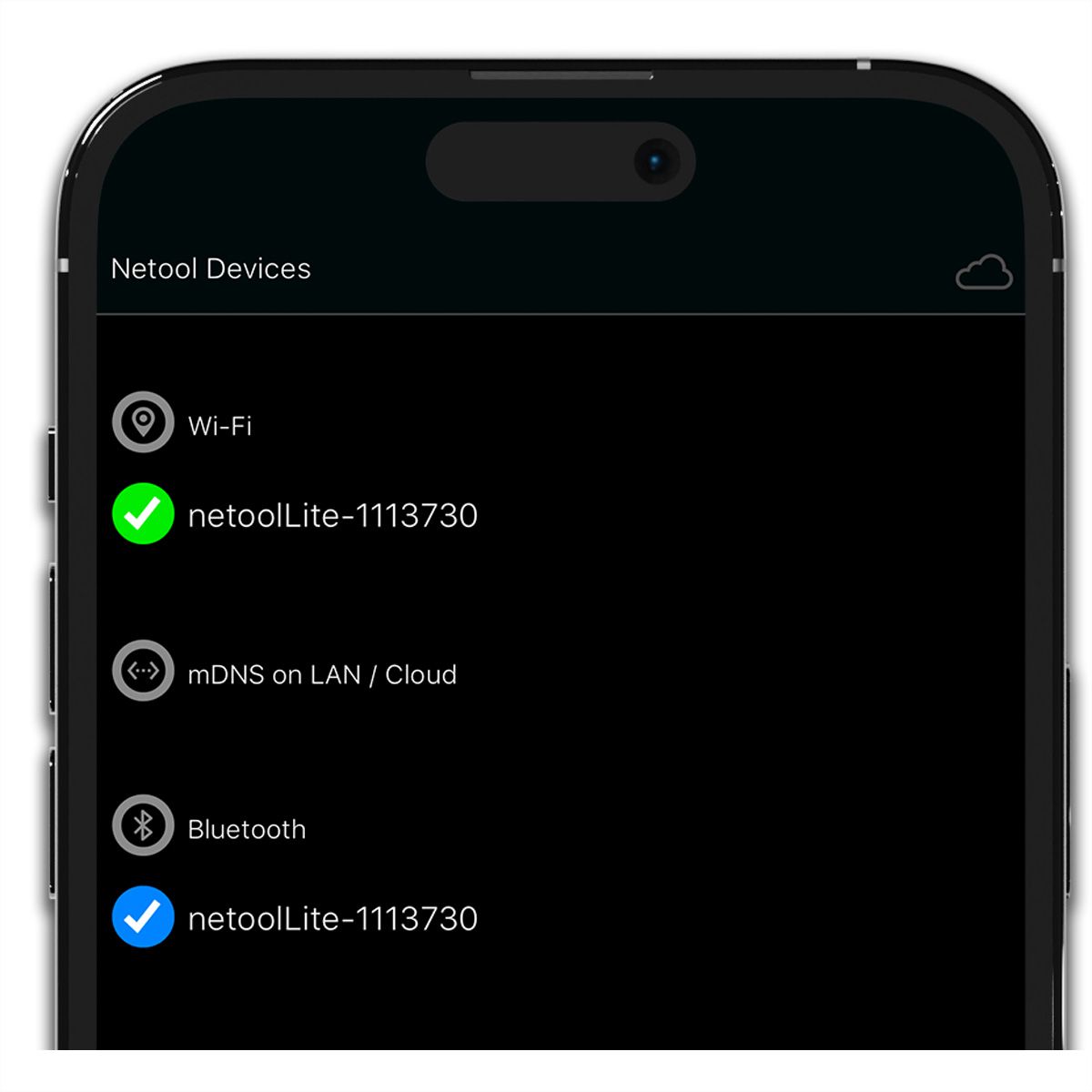 NetPeppers netool.io Lite Testeur de réseau intelligent