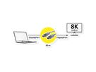 ROLINE Câble DisplayPort v1.4 (AOC), M/M, 20 m