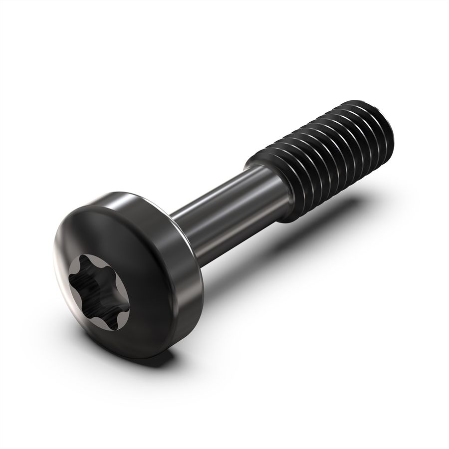 Vis à collerette de SCHROFF, Torx M2.5 x 12.3 mm, acier noir, 100 pièces