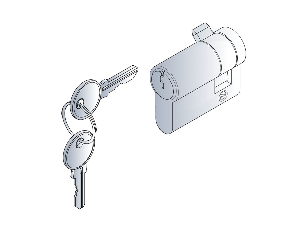 Cylindre de serrure Novastar SCHROFF, insert de serrure DIN