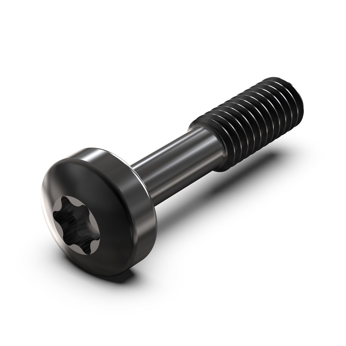 Vis à collerette de SCHROFF, Torx M2.5 x 12.3 mm, acier noir, 100 pièces