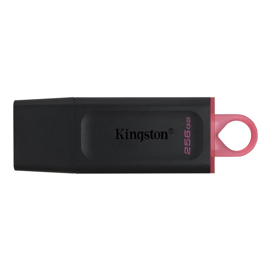 Kingston Technology DataTraveler Exodia lecteur USB flash 256 Go USB Type-A 3.2 Gen 1 (3.1 Gen 1) Noir
