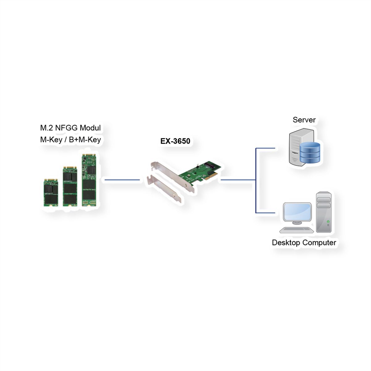 EXSYS EX-3650 PCIe Contrôleur  pour module M.2 NFGG
