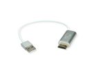 BACHMANN Ochno Adaptateur HDMI vers USB-C et USB-A