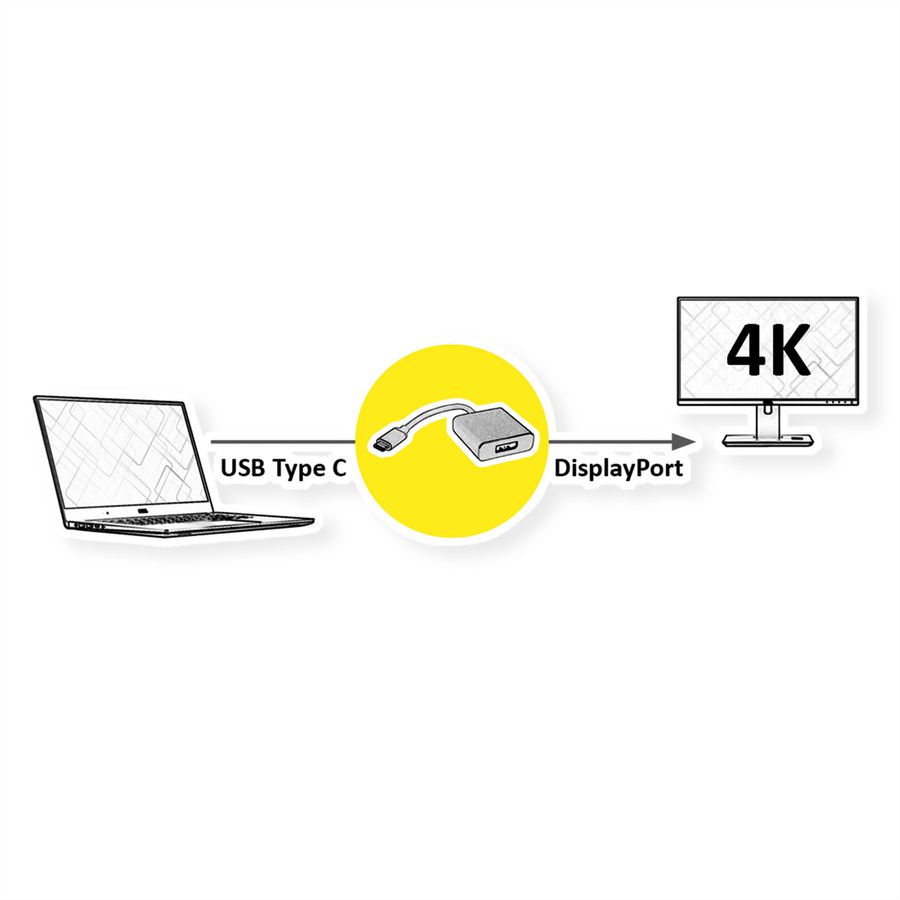ROLINE Adaptateur Type C - DisplayPort, v1.2, M/F
