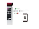 VALUE Protecteur de données USB, type A-C