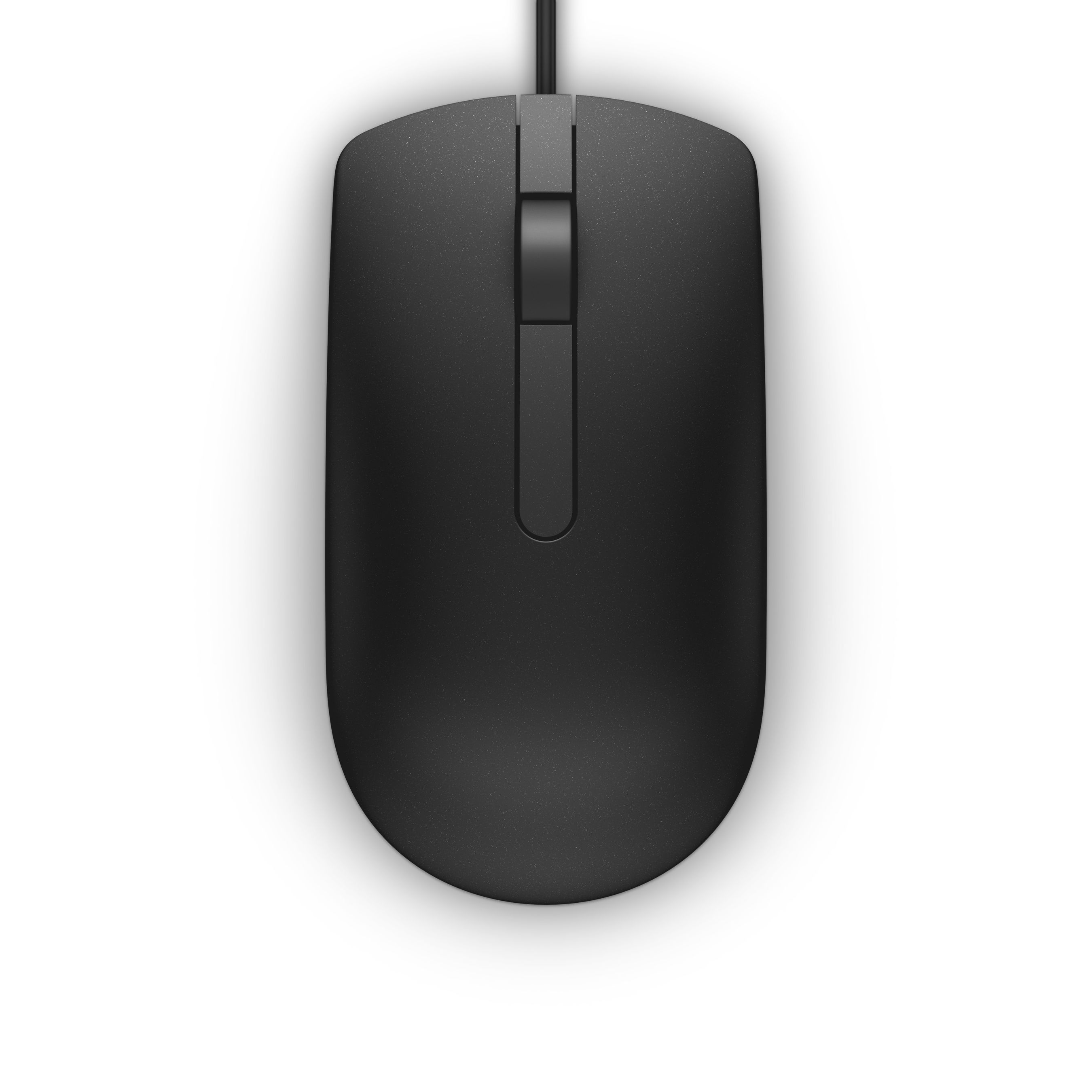 DELL MS116 souris Bureau Ambidextre USB Type-A Optique 1000 DPI