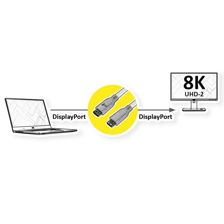 ROLINE RM Câble DisplayPort v1.4, DP M - DP M, noir, 1 m