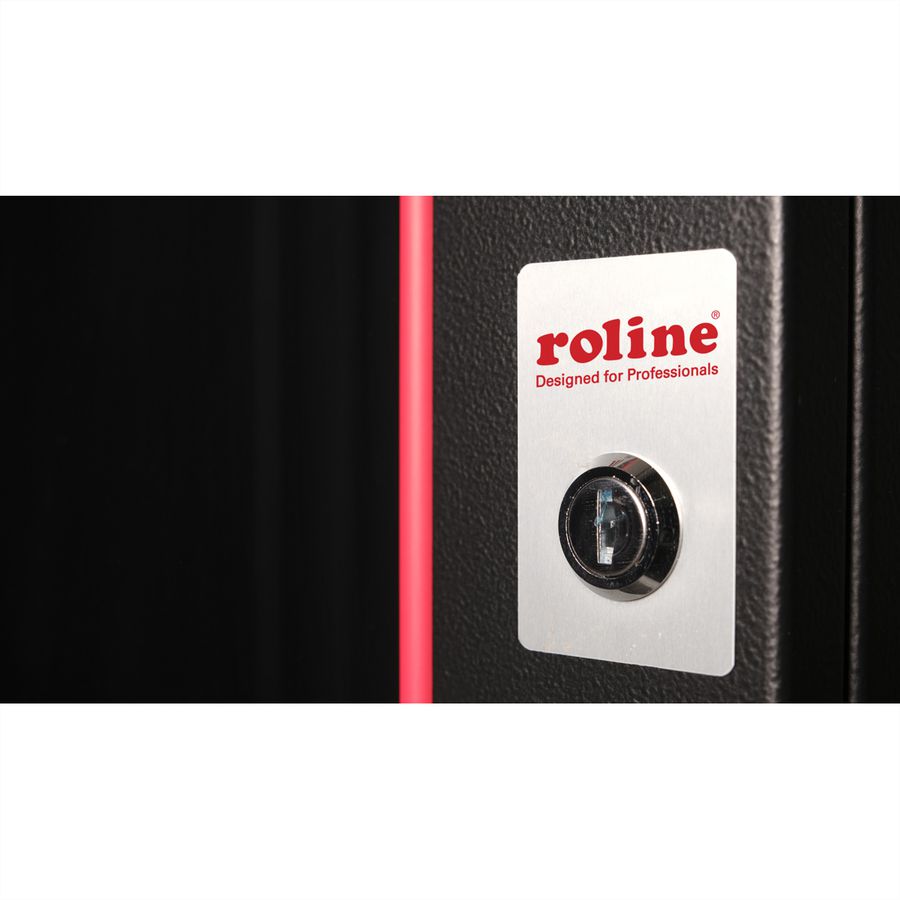 ROLINE 19" Boîtier mural Pro 12U, 600x450 LxP noir