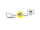 ROLINE GOLD Câble adaptateur type C - DisplayPort, v1.2, M/M, 1 m