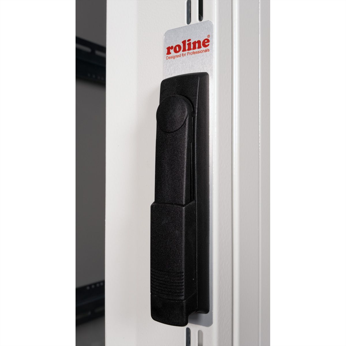 ROLINE 19" Baie serveur Pro 36U, 600x1000 LxP gris Plexiglas
