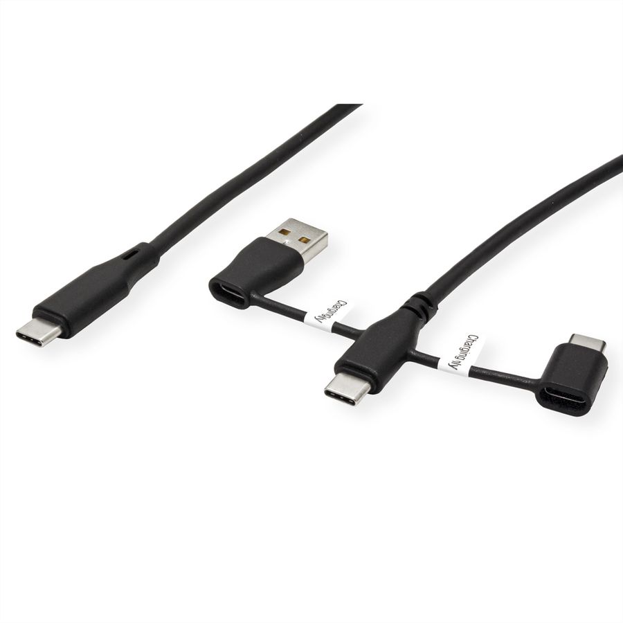ROLINE Câble USB 2.0 type C, M/M, avec protecteur de données USB, type A+c, 1 m