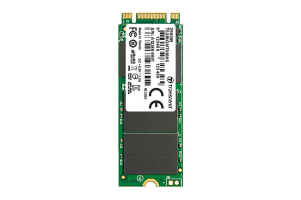 Transcend M.2 SSD 600S 256 Go Série ATA III