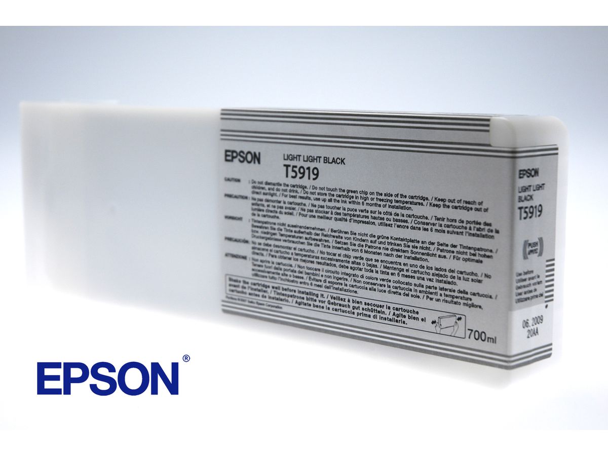 Epson Encre Pigment Gris très Clair SP 11880 (700ml)